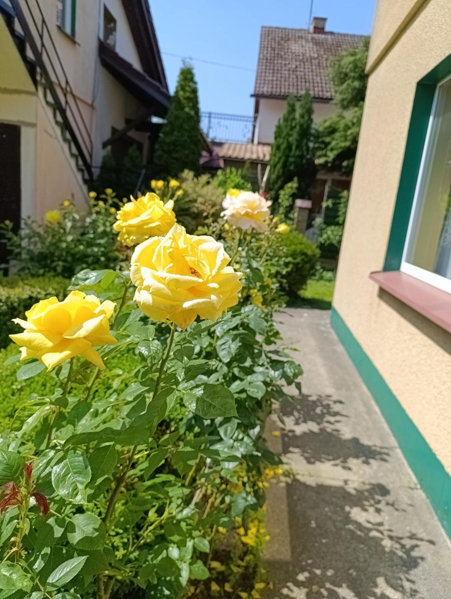 Mietowa Przystan Hotell Mielno  Exteriör bild